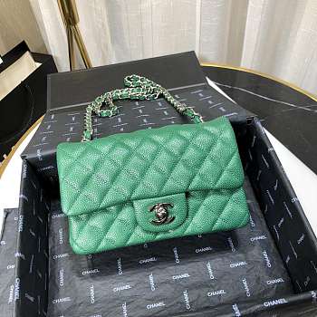 Chanel Caviar Leather 20cm Flap With Silver Hardware In Green