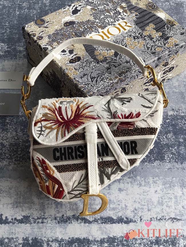 FORUBAGS-17 DIOR SADDLE BAG - 1
