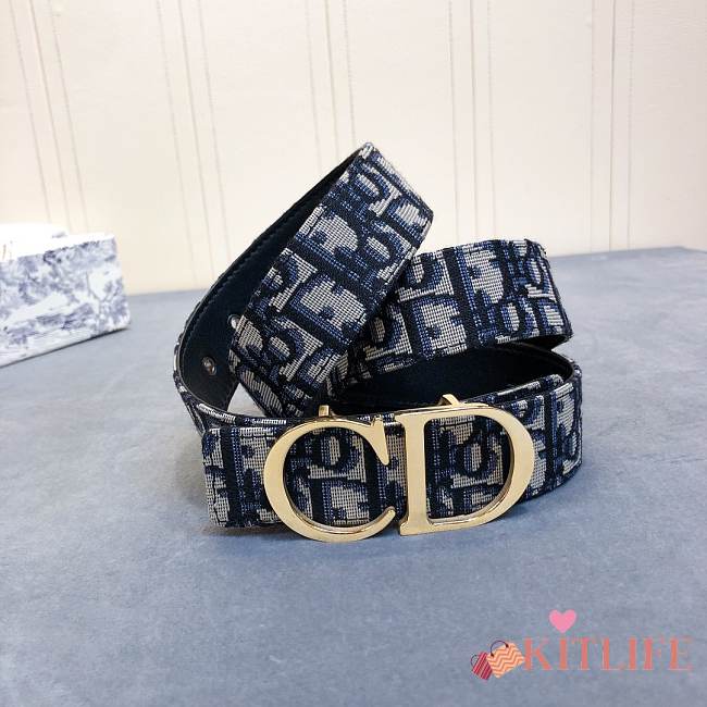 Dior Belt silver/gold/black Hardware  - 1