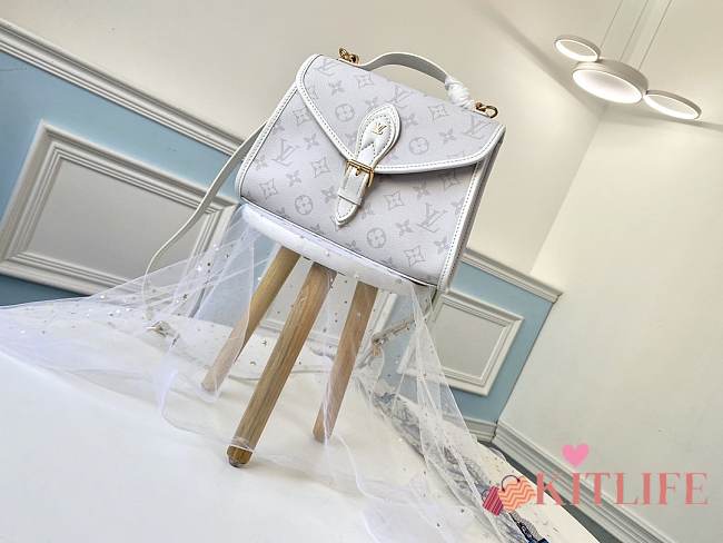 LV IVY 23.5 x 18.0 x 9.0CM - 1
