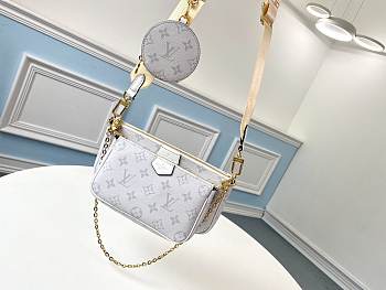 LOUIS VUITTON MULTI POCHETTE ACCESSOIRES