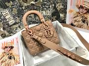 Forubags Lady Dior All Nude pink 20*17*8CM - 1