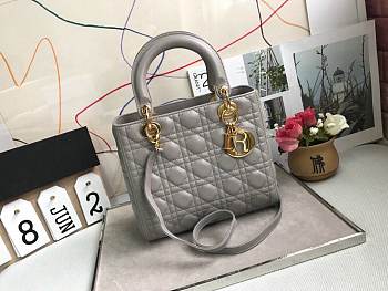 Forubags Lady Dior Grey size:24*20*11cm