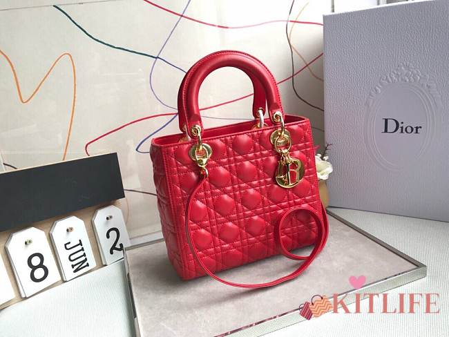 Forubags Lady Dior Red size:24*20*11cm - 1