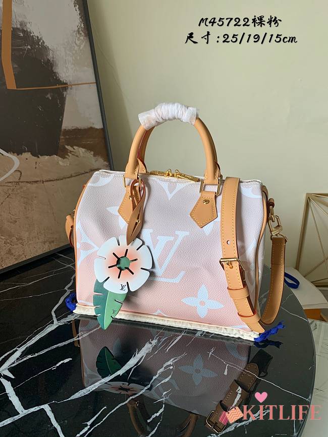 Forubags Louis Vuitton SPEEDY BANDOULIÈRE 25 Mist - M45722  – 25x19x15cm - 1