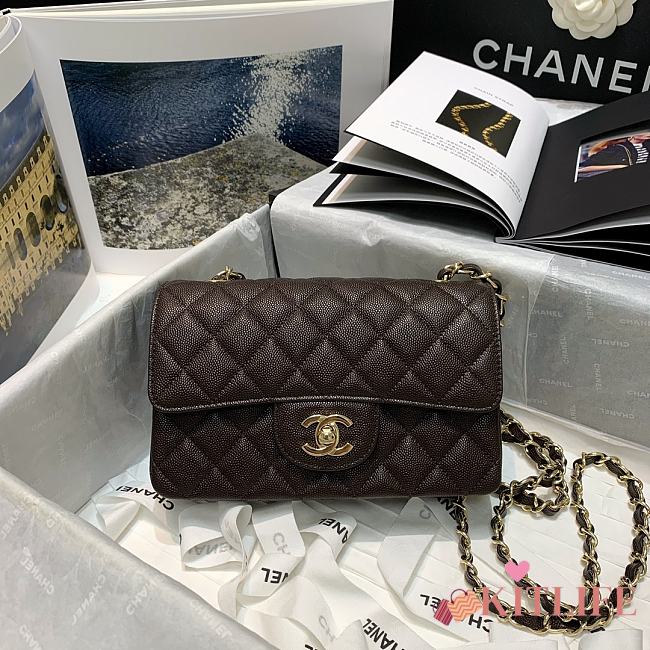 Forubags Chanel Classic Double Flap Bag Brown - 20cm - 1