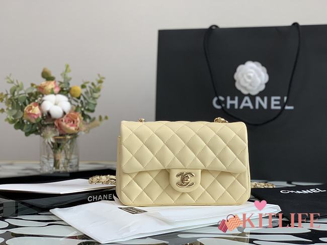 Forubags Chanel Classic Double Flap Creme Medium Bag - 20cm - 1