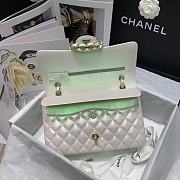 Chanel Classic Double Flap Metalic White Bag Yellow Hardware - 25.5x15.6cm - 5