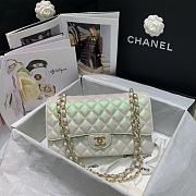 Chanel Classic Double Flap Metalic White Bag Yellow Hardware - 25.5x15.6cm - 3