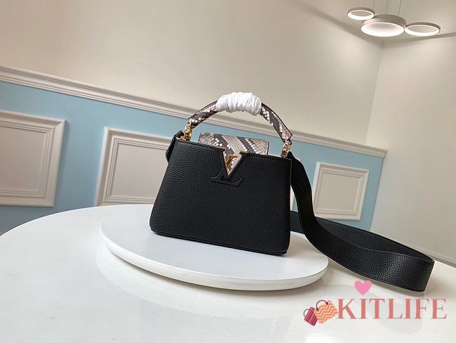 Forubags Capucines BB Bag Python Skin - N95509 - 27 x 18 x 9cm - 1