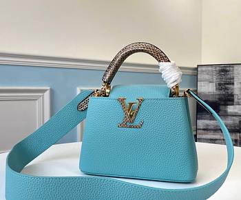 Forubags Louis Vuitton Capucines Nile Snake Skin Blue Mini - M96467 – 21x14x8cm