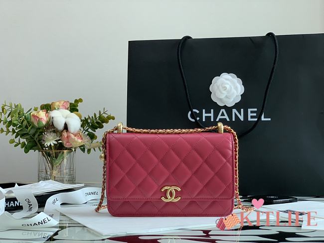 Forubags Chanel WOC Calfskin & Gold-Tone Metal Rose Pink – AP2289 - 19 cm - 1