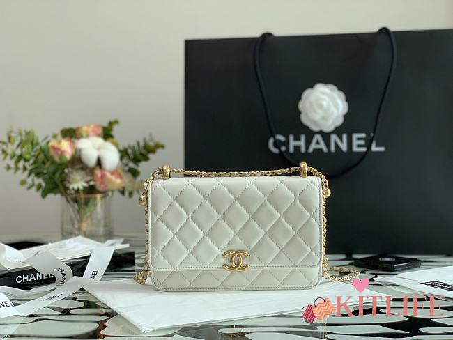 Forubags Chanel WOC Calfskin & Gold-Tone Metal White – AP2289 - 19 cm - 1