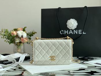 Forubags Chanel WOC Calfskin & Gold-Tone Metal White – AP2289 - 19 cm