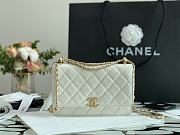 Forubags Chanel WOC Calfskin & Gold-Tone Metal White – AP2289 - 19 cm - 6