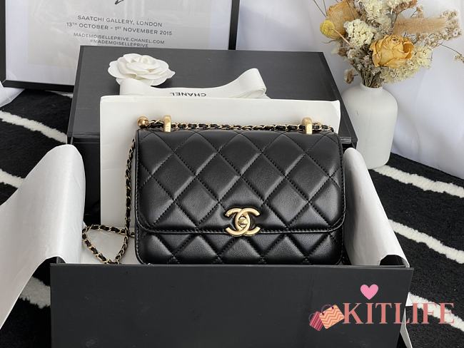 Forubags Chanel WOC Gold Hardware  Black- 17x9.5x8 cm - 1