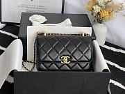 Forubags Chanel WOC Gold Hardware  Black- 17x9.5x8 cm - 1