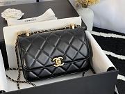 Forubags Chanel WOC Gold Hardware  Black- 17x9.5x8 cm - 4