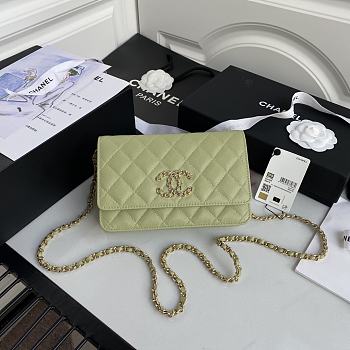 Forubags Chanel WOC Grained Calfskin Emerald Green - AP1794 – 19 cm