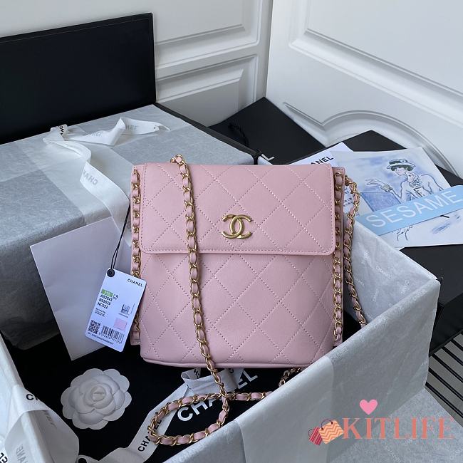 Forubags Chanel SMALL HOBO BAG Calfskin & Gold-Tone Metal Pink - AS2542 – 19x23x7 cm - 1