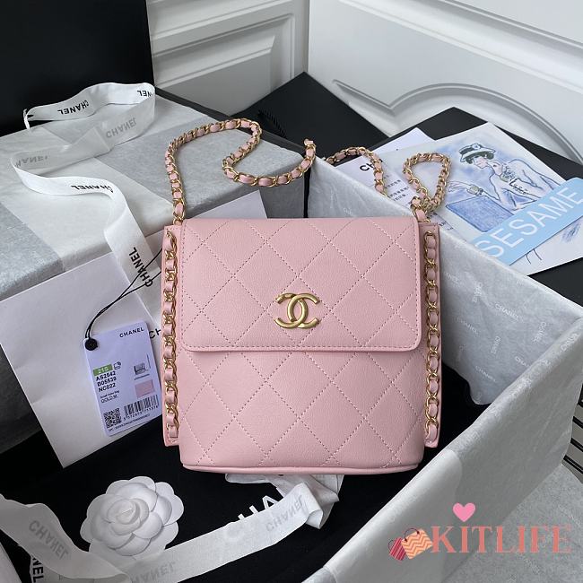 Forubags Chanel SMALL HOBO BAG Calfskin & Gold-Tone Metal Blush Pink - AS2542 – 19x23x7 cm - 1