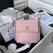 Forubags Chanel SMALL HOBO BAG Calfskin & Gold-Tone Metal Blush Pink - AS2542 – 19x23x7 cm - 1