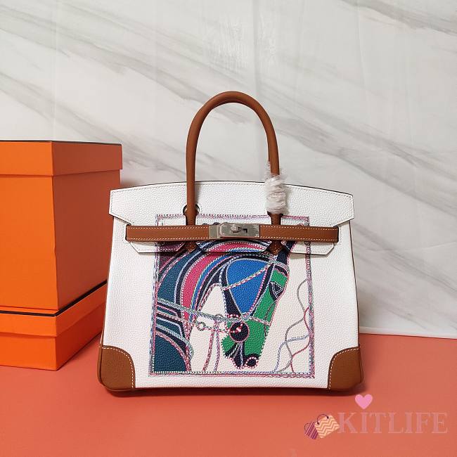 Forubags Hermes Birkin Platinum Togo Painting White – 30 cm - 1