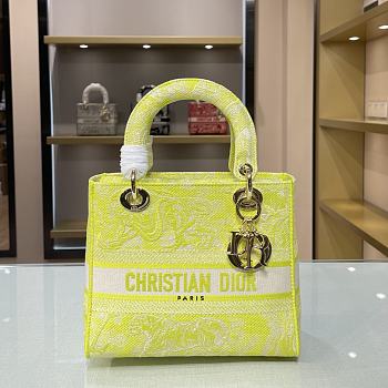 Forubags Dior Lady D-Lite Bag Lime – M0565O – 24x20x11 cm