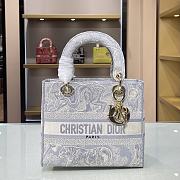 Forubags Dior Lady D-Lite Bag Gray – M0565O – 24x20x11 cm - 1