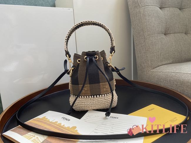 Fendi Mon Trésor Bucket Bag Beige Raffia Woven Trim Pequin Vichy Pattern – 18x12x10 cm - 1