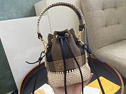 Fendi Mon Trésor Bucket Bag Beige Raffia Woven Trim Pequin Vichy Pattern – 18x12x10 cm - 3