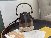 Fendi Mon Trésor Bucket Bag Beige Raffia Woven Trim Pequin Vichy Pattern – 18x12x10 cm - 4