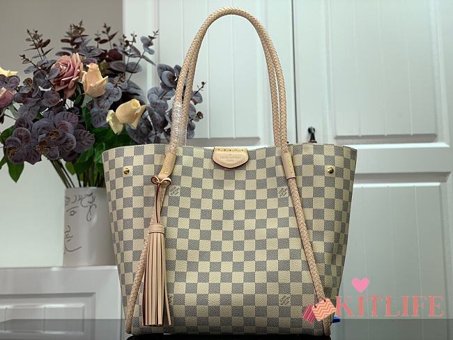 Louis Vuitton Propriaon Handbag - N44027 – 28x18x27 cm - 1