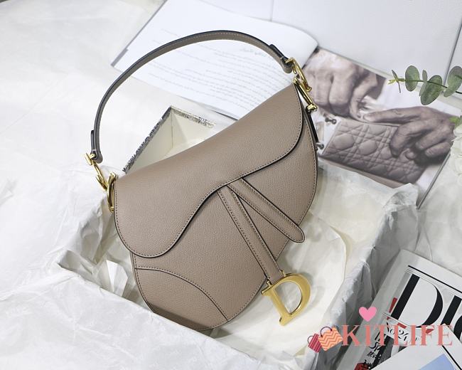 Christian Dior Saddle Palm Pattern Grey – M9001 – 25.5 x 20 x 6.5 cm - 1