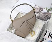 Christian Dior Saddle Palm Pattern Grey – M9001 – 25.5 x 20 x 6.5 cm - 1