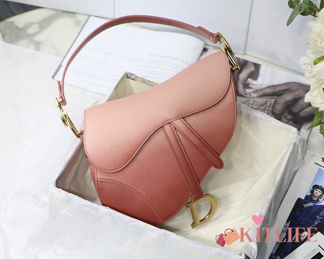 Christian Dior Saddle Gradient Powder – M9001 – 25.5 x 20 x 6.5 cm - 1