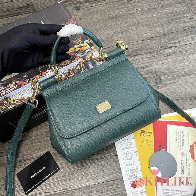 Dolce & Gabbana Dauphine Leather Sicily Bag Green - 5518 – 20x9.5x14 cm - 1