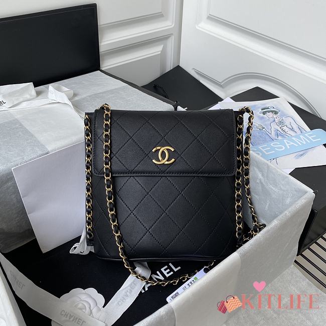 Chanel Stray Calfskin Bag Black – AS2543/AS2542 - 19x23x7cm - 1