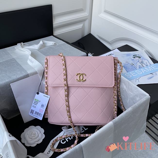 Chanel Stray Calfskin Bag Pink – AS2543/AS2542 - 19x23x7cm - 1