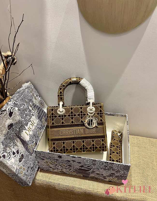 Dior Lady D-Lite five-pattern embroidery Brown - 24 x 20 x 11 cm - 1