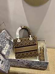 Dior Lady D-Lite five-pattern embroidery Brown - 24 x 20 x 11 cm - 2