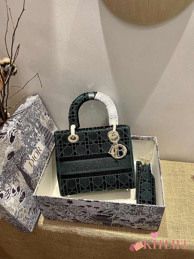 Dior Lady D-Lite five-pattern embroidery Green - 24 x 20 x 11 cm - 1