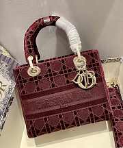 Dior Lady D-Lite five-pattern embroidery Red - 24 x 20 x 11 cm - 5