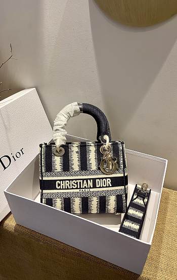 Dior Lady Stripe Series Pink Deep Blue - 24 x 20 x 11 cm