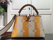 Louis Vuitton Capucines Embroidered Orange Brown Gold Buckle - M48865 - 31.5 x 20.0 x 11.0 cm - 1