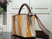 Louis Vuitton Capucines Embroidered Orange Brown Gold Buckle - M48865 - 31.5 x 20.0 x 11.0 cm - 3