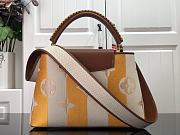 Louis Vuitton Capucines Embroidered Orange Brown Gold Buckle - M48865 - 31.5 x 20.0 x 11.0 cm - 4