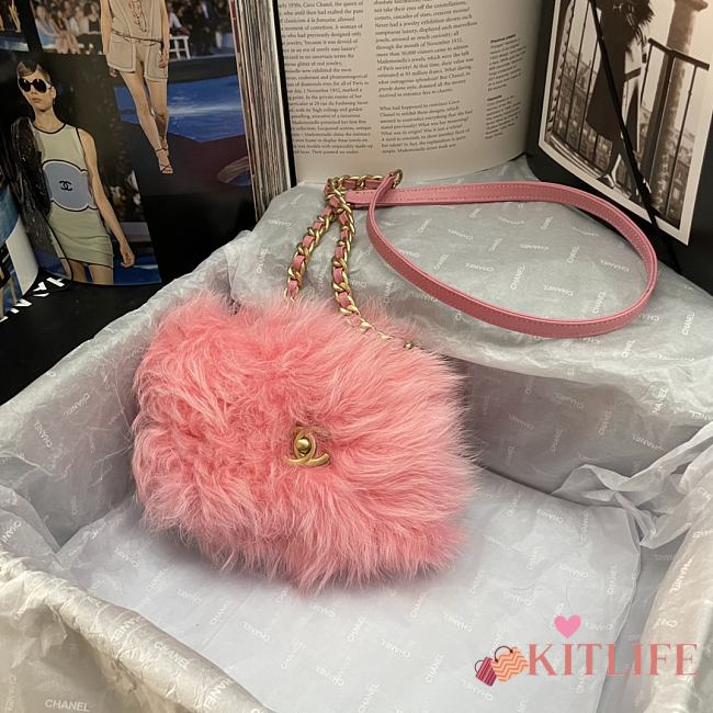 Chanel Mink Fur Pink – AS2885 – 15x11x4.5cm - 1