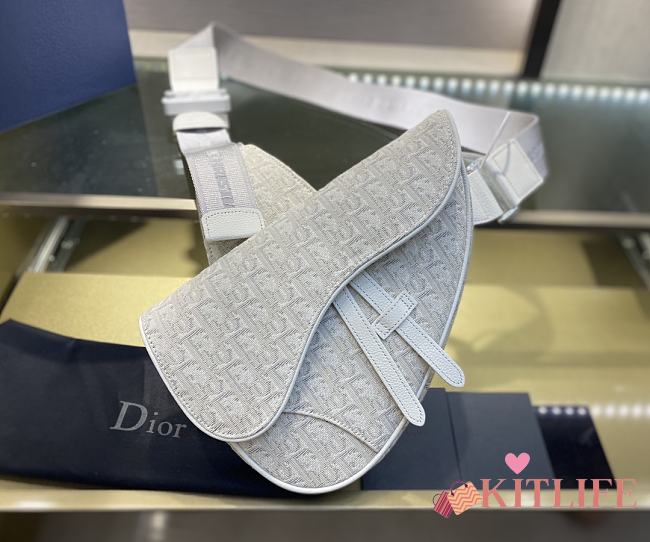 Kitlife Dior Men's White Presbyopia Saddle Bag – 20x28.6x5 cm - 1