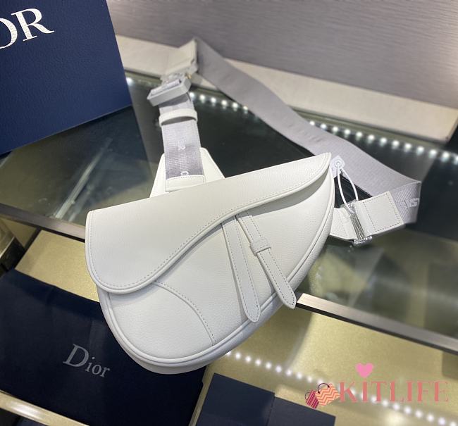 Kitlife Dior Men's White Cowhide Saddle Bag – 20x28.6x5 cm - 1